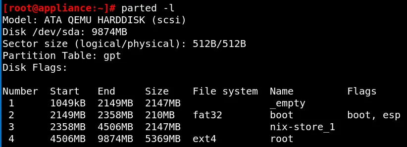 The appliance's initial partition table after first boot