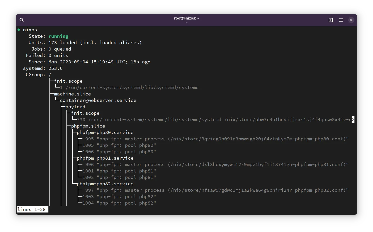 NixOS VM where systemctl status Show the Same Scenario Inside a systemd-nspawn Container