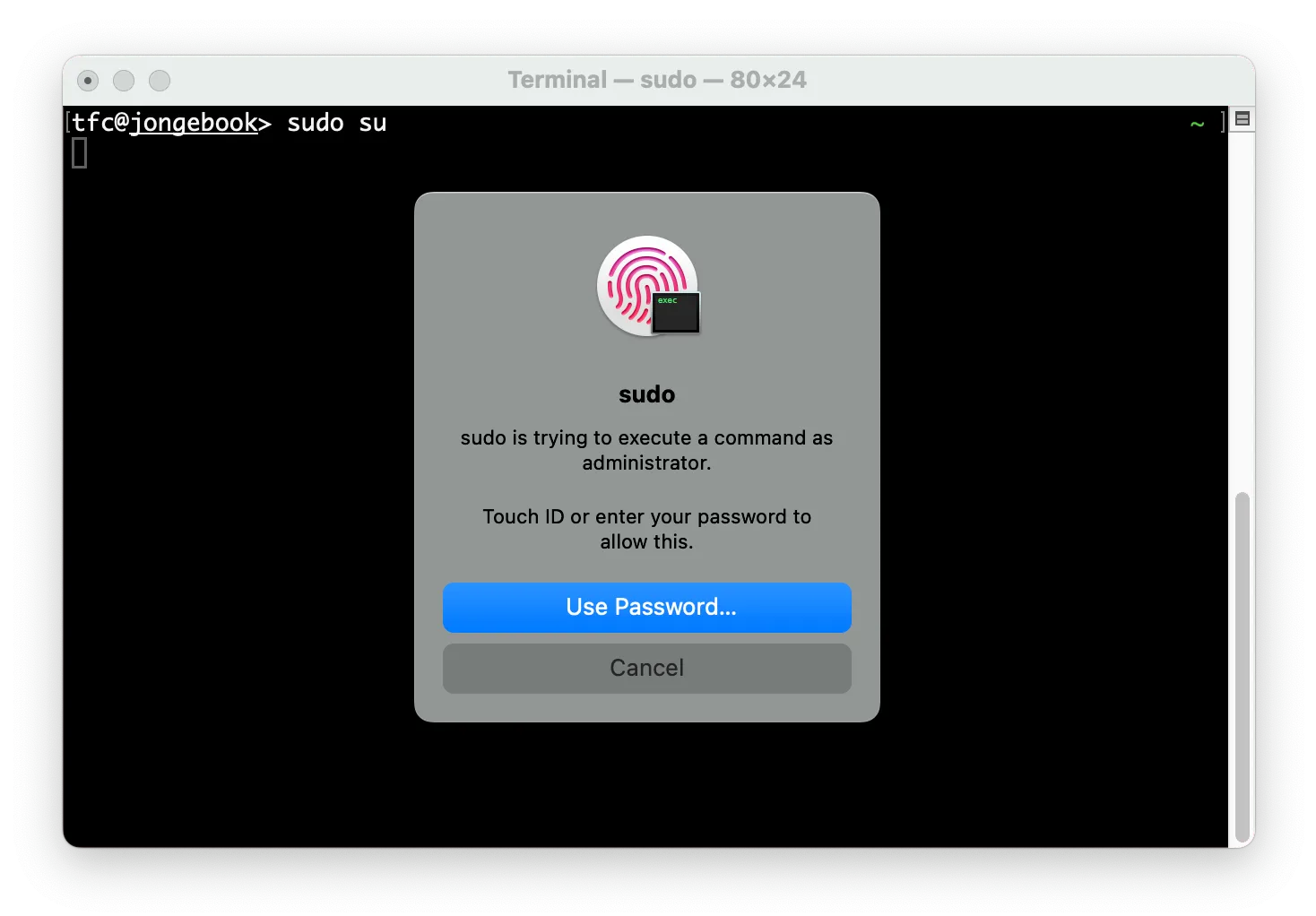 
Unlocking sudo via fingerprint on macOS
