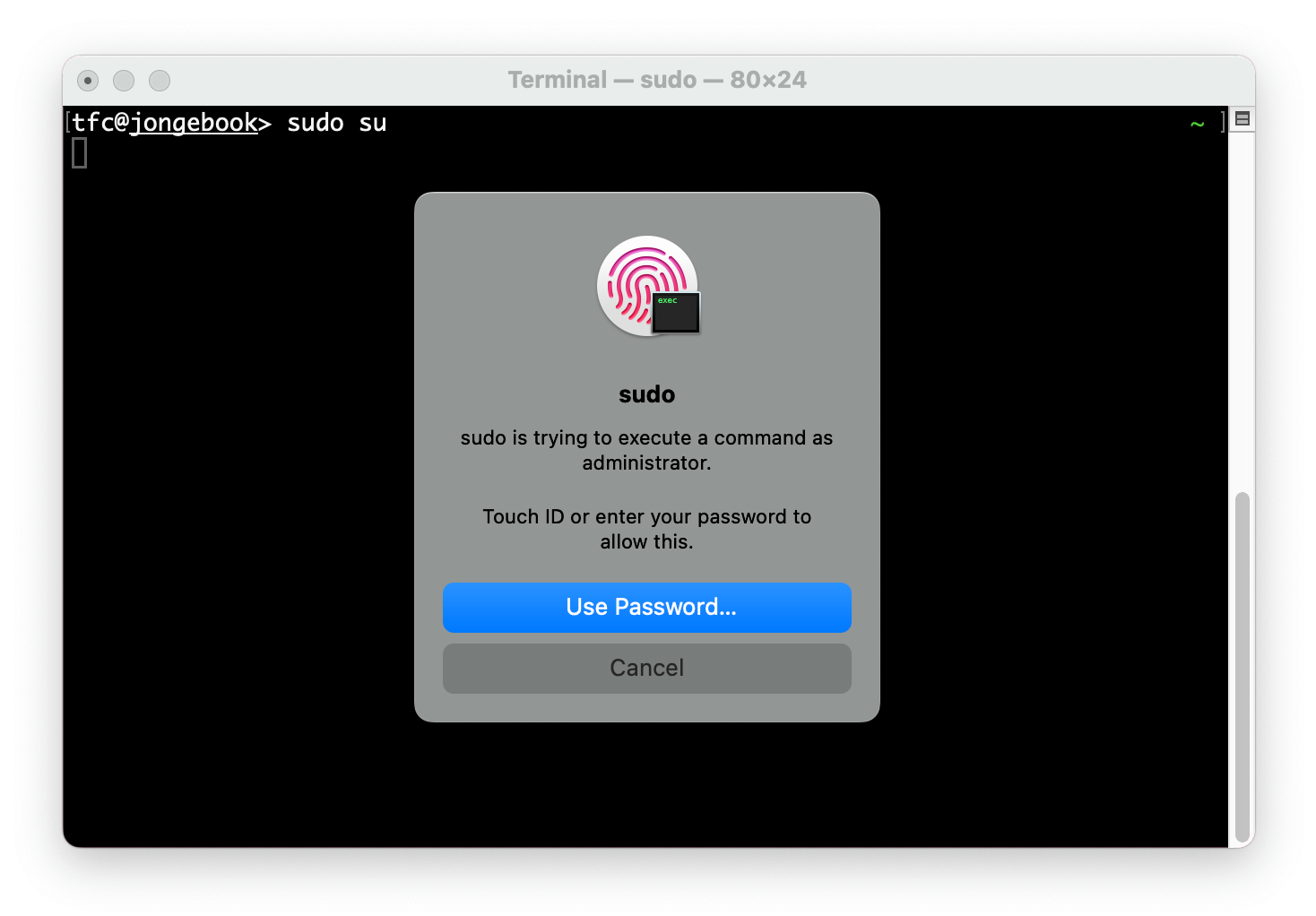 Unlocking sudo via fingerprint on macOS